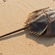 Foto: Shutterstock